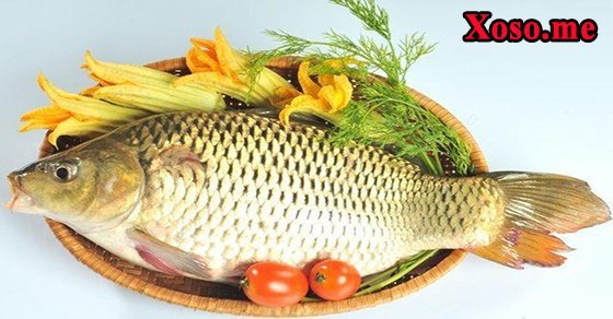 Mơ thấy cá là điềm gì - Chiêm bao thấy cá đánh con gì?