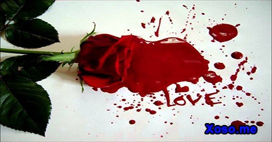 Mơ thấy máu – Chiêm bao thấy máu đánh con gì?
