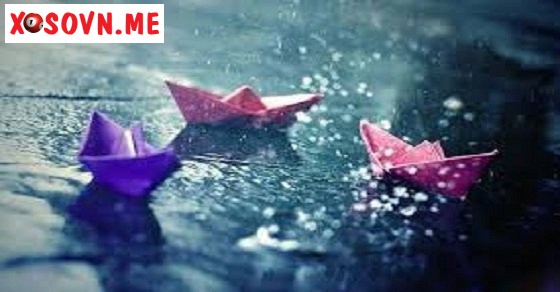 Mơ thấy mưa nhỏ – Chiêm bao thấy mưa nhỏ đánh con gì?