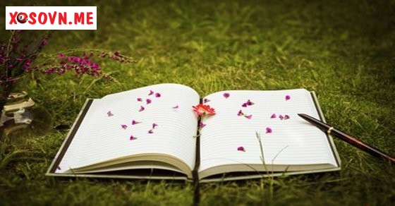Mơ thấy quyển vở – Chiêm bao thấy quyển vở đánh con gì?