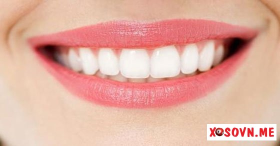 Mơ thấy rắn – Chiêm bao thấy rắn đánh con gì?