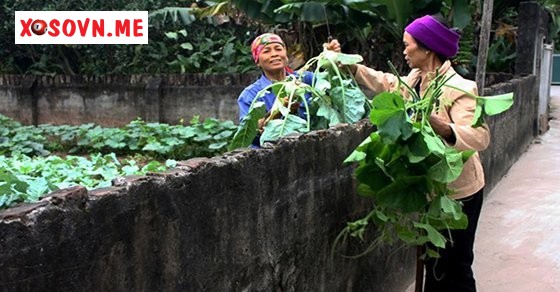 Mơ thấy sang nhà láng giềng – Chiêm bao thấy sang nhà láng giềng đánh con gì?