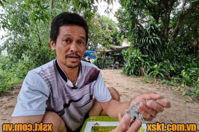 Tặng vòng vàng cho con tắc kè 2 đuôi kỳ lạ sau khi trúng số